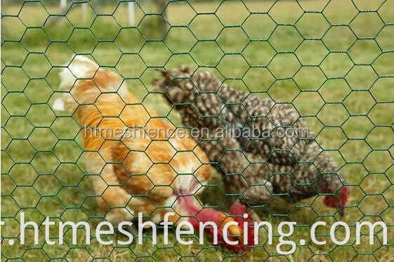 Galvanisé Fil de poulet hexagonal, 1/2 "Hex Mesh Poulet Netting